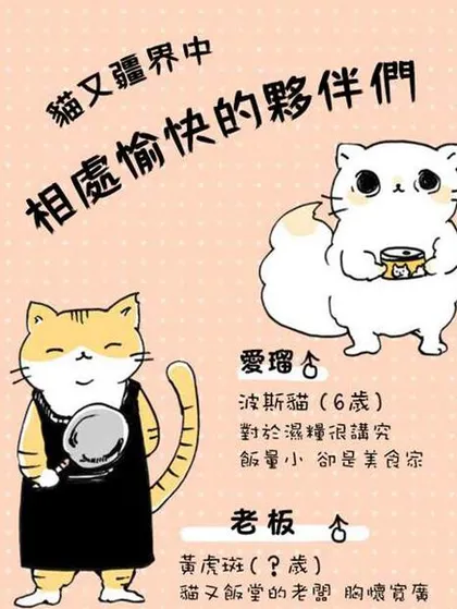 猫又疆界